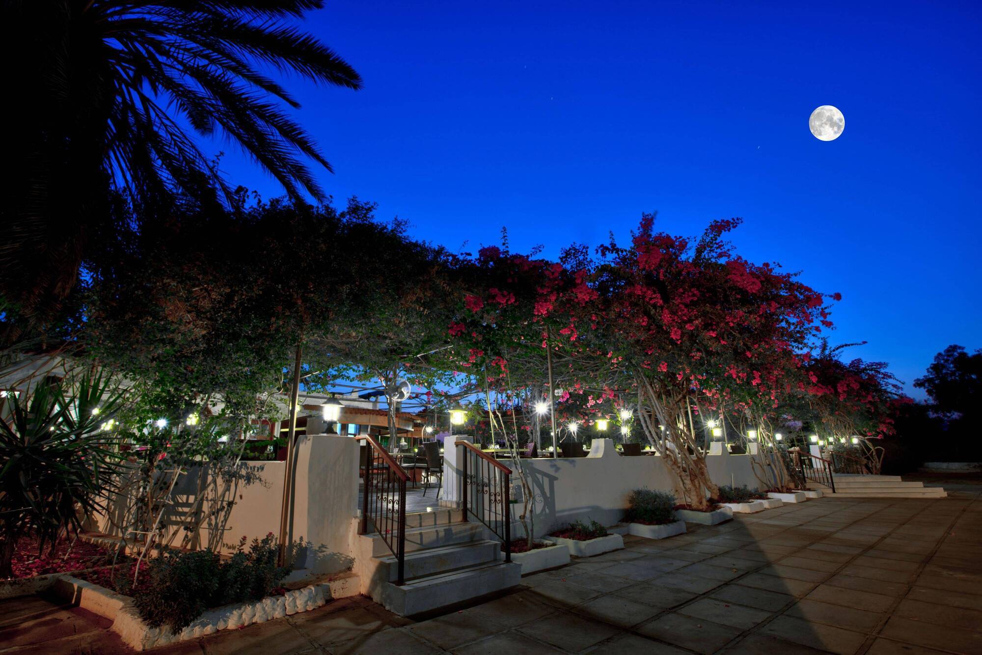 Merit Cyprus Gardens Holiday Famagusta  Esterno foto